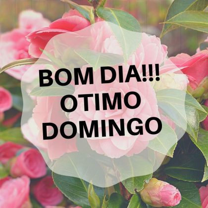 bom dia otimo domingo