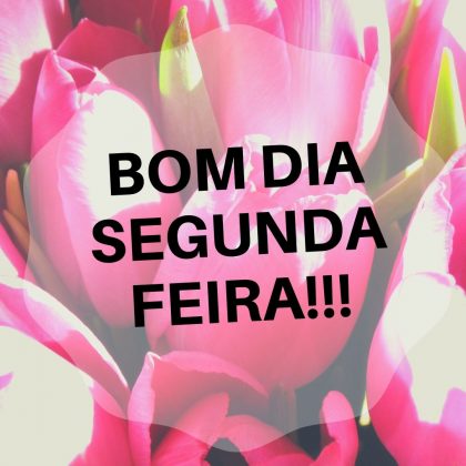 bom dia segunda feira