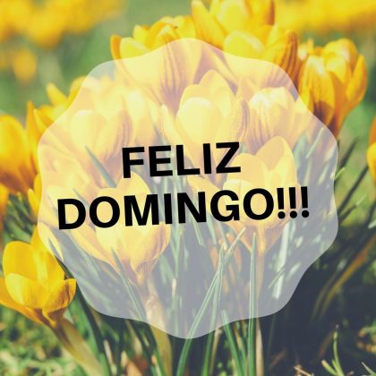 um otimo domingo