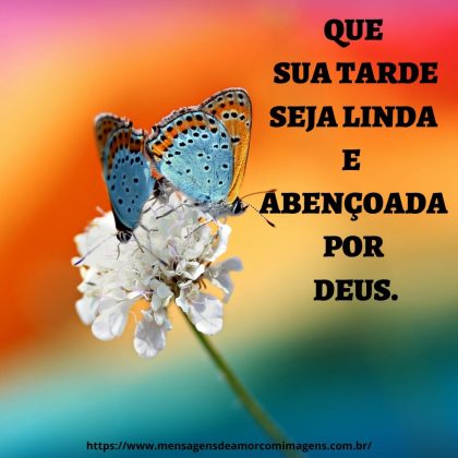 mensagem linda de boa tarde